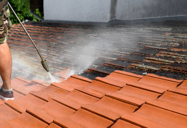 Best Roof Power Washing Services  in Forsyth, MO